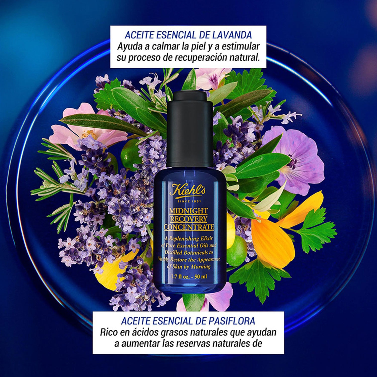 MIDNIGHT RECOVERY CONCENTRATE (ACEITE FACIAL NOCTURNO)
